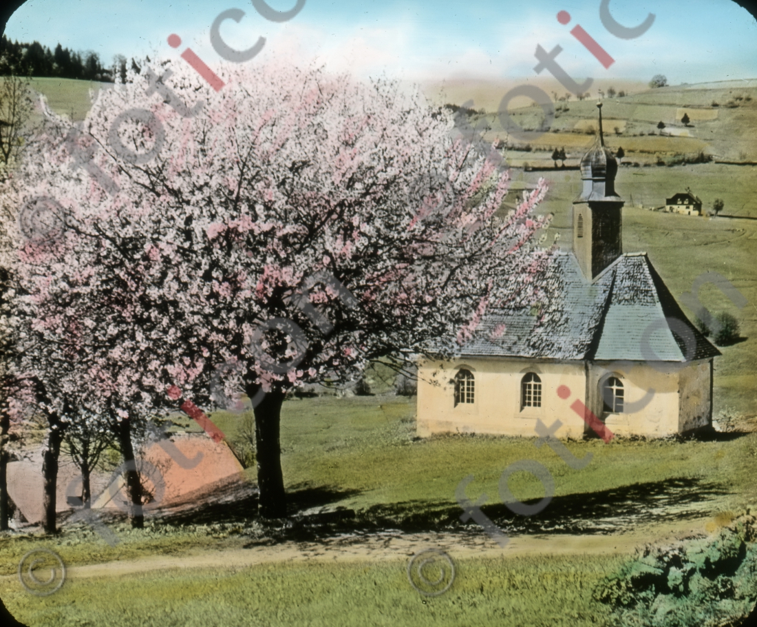 Frühlingsbild - Foto foticon-simon-127-003.jpg | foticon.de - Bilddatenbank für Motive aus Geschichte und Kultur